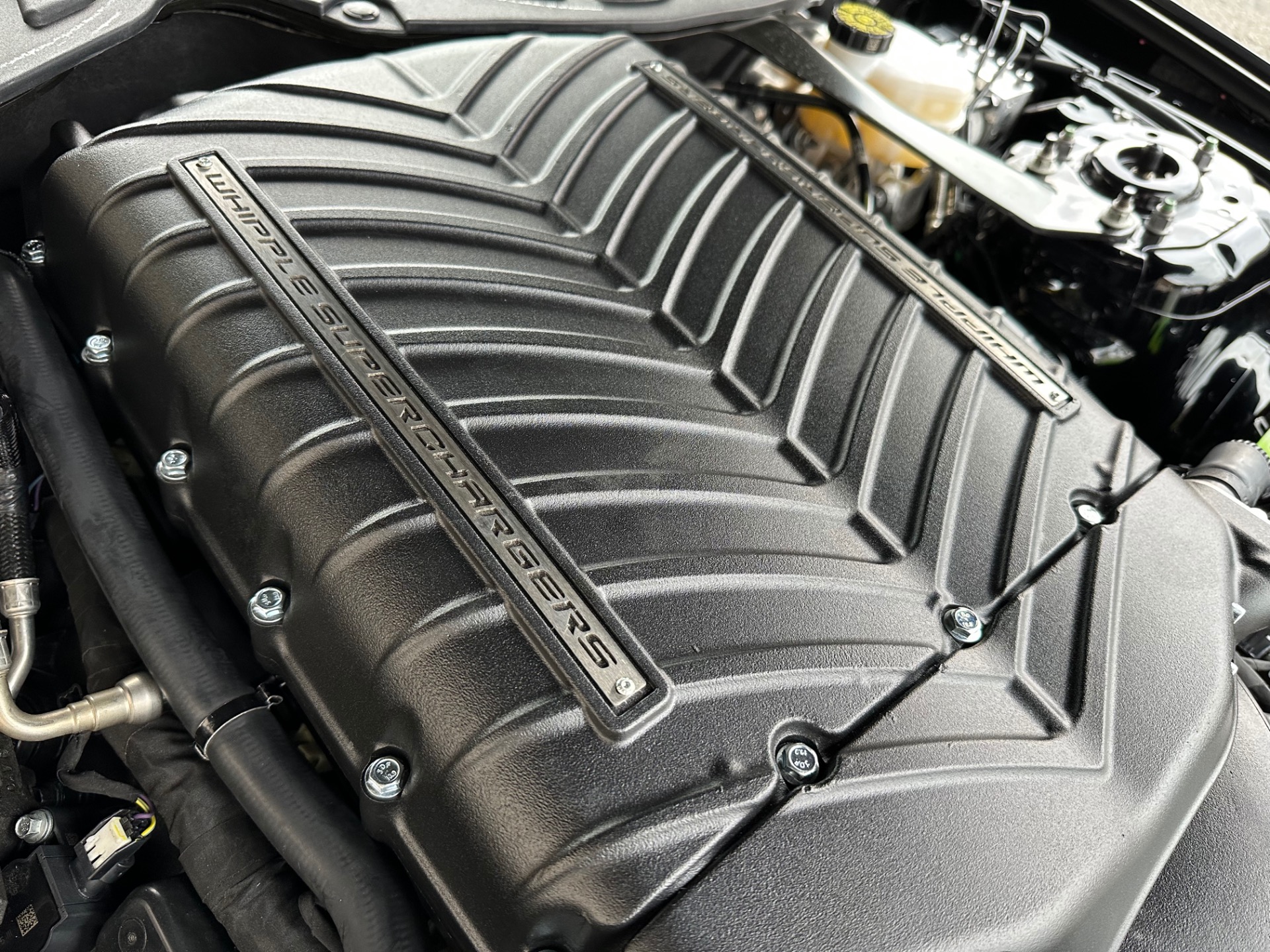 2020 Ford Mustang GT Premium Stock # 174297 for sale near Edgewater
